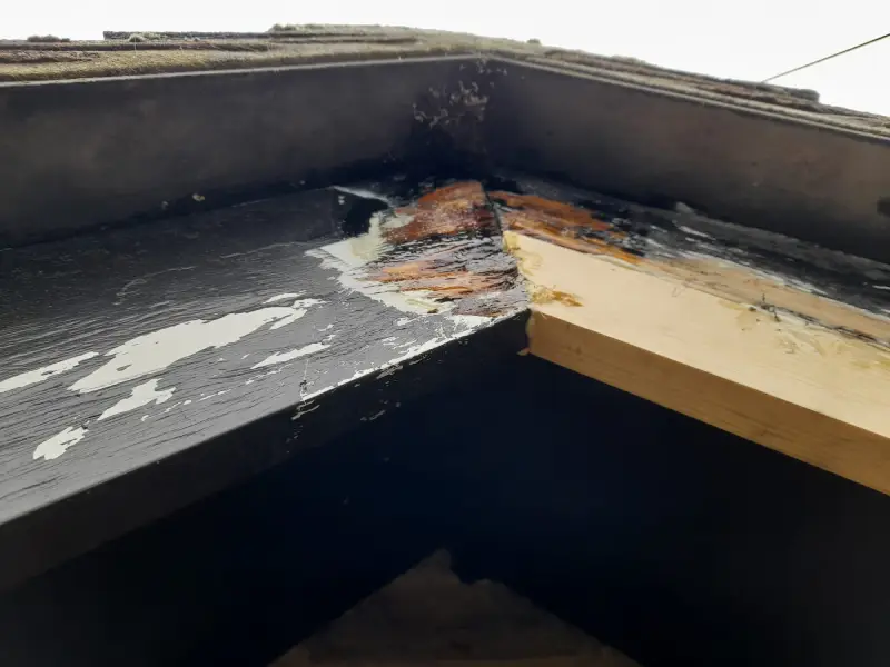 Woodwork Repair