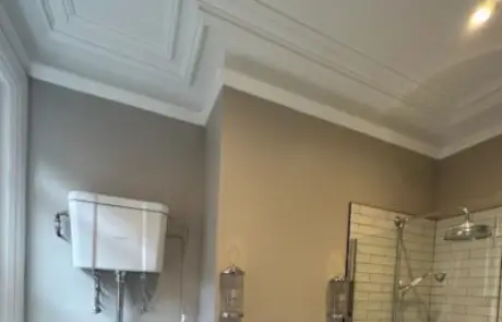 Wall & Ceiling Painted