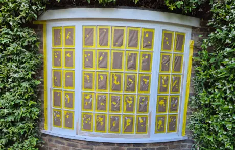 Window Spraying Preparation